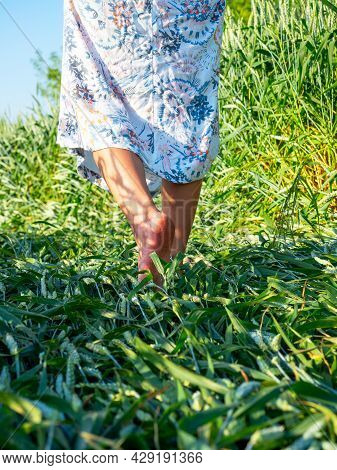 Close Up Of The Bare Feet Of A Girl Dressed In A Dress Who Is Walking On The Grass In The Evening. V