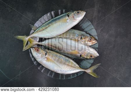 Fresh Raw Fish Called As Rastrelliger Kanagurta Or Mackerel Fish