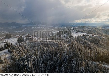 Winter Landscape With Spruse Trees Of Snow Covered Forest In Cold Mountains.