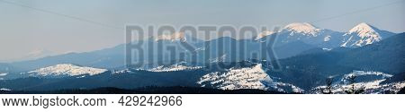 Winter Landscape With Spruse Trees Of Snow Covered Forest In Cold Mountains.