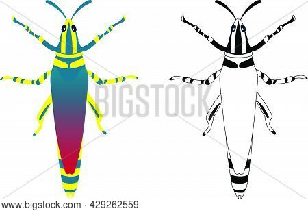 Grasshopper Or Locust Vector Illustration Fill And Outline Isolated On White Background. Insects Bug