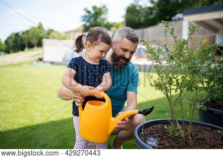 Father With Small Daughter Outdoors In Tha Backyard, Watering Plants.