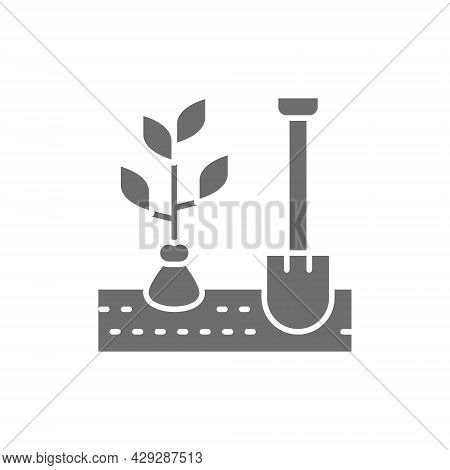 Digging Up Plants, Planting Tree, Trees With Shovel Grey Icon.