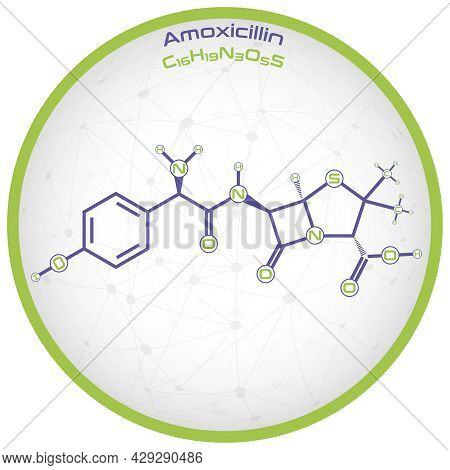 Large And Detailed Infographic Of The Molecule Of Amoxicillin