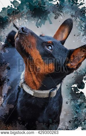 Digital Watercolor Painting Of A Pet Prague Ratter. It Is The Smallest Breed In The World By Breed S