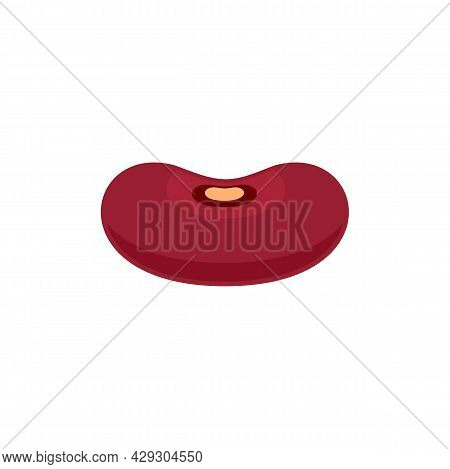 Pinto Kidney Bean Icon. Flat Illustration Of Pinto Kidney Bean Vector Icon Isolated On White Backgro