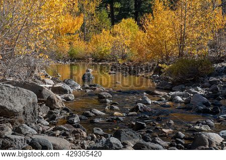 Reflection Of The Fall Collors On A Creek In California Near Highway 4 In The Eastern Sierras Side, 