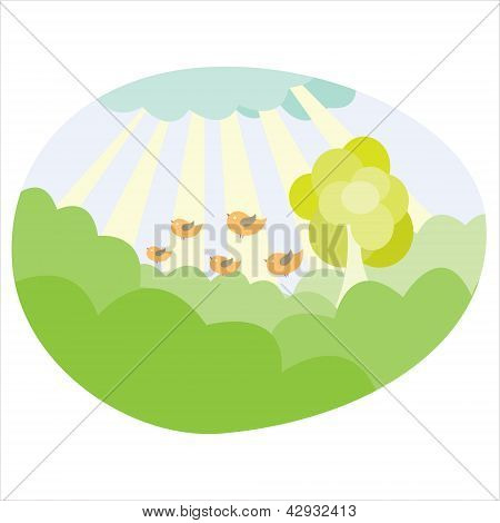 Sommardag