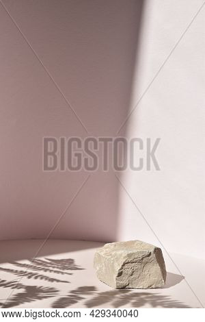 A Podium For The Presentation Of Goods And Cosmetics. A Showcase With A Stage For Natural Products. 