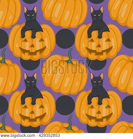 Vector Seamless Pattern With Black Cat And Pumpkins For Halloween. Hand Drawn Illustration. The Prin