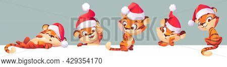 New Year Tiger In Santa Hat, 2022 And 2034 Chinese Zodiac Symbol. Wild Cute Kitten, Baby Predator An