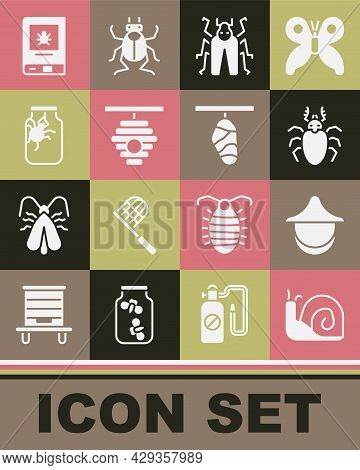 Set Snail, Beekeeper Hat, Beetle Deer, Bug, Hive For Bees, Spider In Jar, Book About Insect And Butt