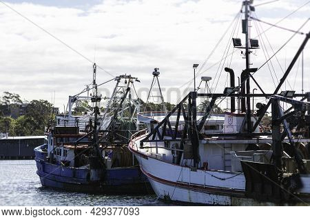 Sydney, Australia - October 29, 2020: Sydney Fishermen Harbour. Fishing Boats In The Kay. Seagulls F