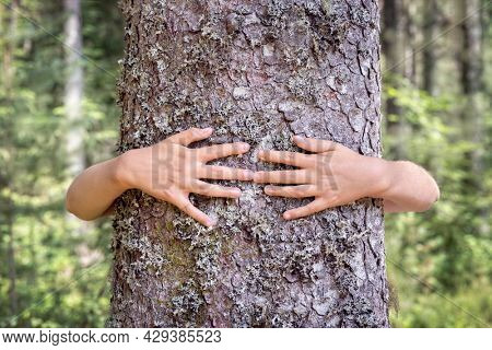 Tree hugging, little boy giving a tree a hug concept for love nature and conservation of environment