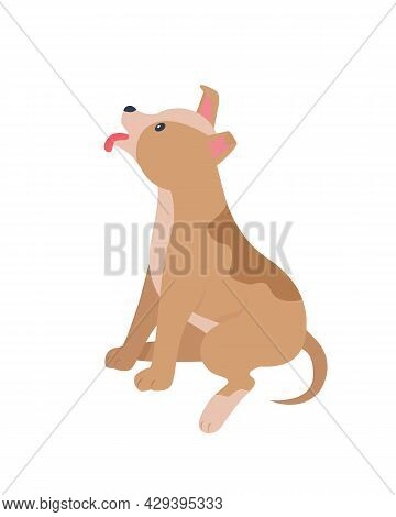 Adopt Puppy From Abroad Semi Flat Color Vector Character. Full Body Animal On White. Visiting Animal