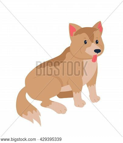 Mixed-breed Dog Adoption Semi Flat Color Vector Character. Full Body Animal On White. Rescuing Mongr