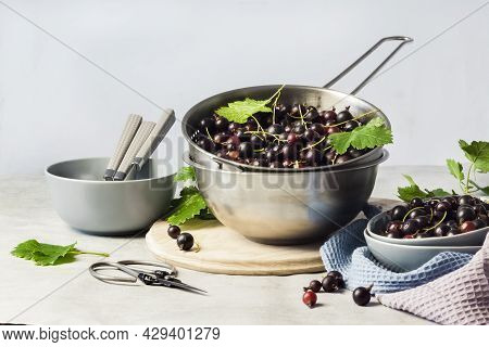 The Jostaberry (ribes X Nidigrolaria) Hybrid Of A Black Currant And Gooseberry