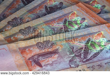 Macro Photography Of 20 Malaysian Ringgit With Fluor Light. Extreme Close-up Of Rm20 Malaysia. Sharp
