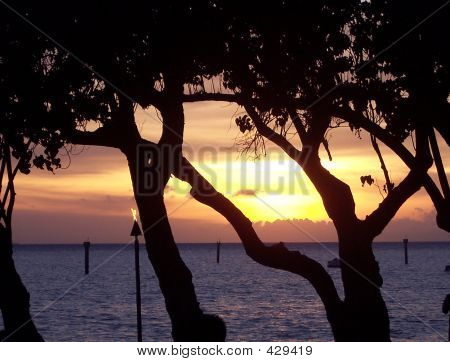 Sunset Luau