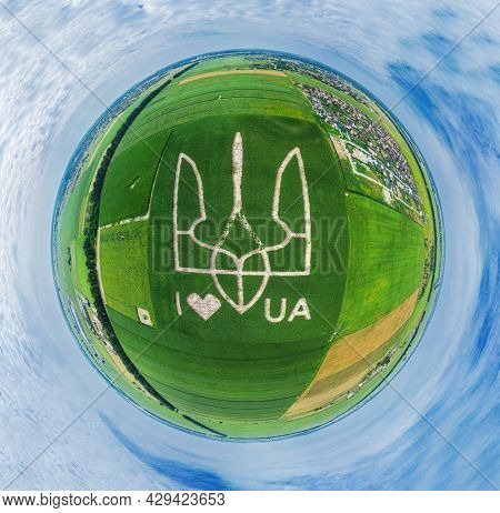 Giant symbol of the country of Ukraine is a trident created by corn sprouts in a corn field. View from above. Stylization for the planet Earth. 05.08.2021, Ukraine, village Velyka Oleksandrivka.