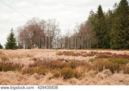 The High Fens, Hoge Venen, Belgium, Signal Van Botrange