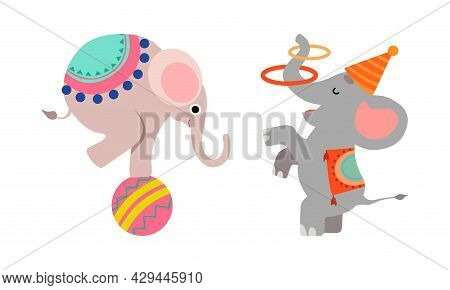 Circus Elephant Animal Performing Trick Juggling With Rings And Balancing On Ball Vector Set
