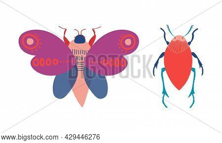 Butterfly And Beetle Insects As Hexapod Flying Creature With Jointed Legs And Pair Of Antennae Vecto