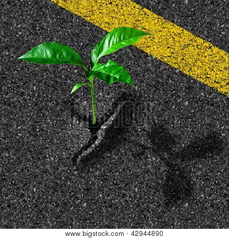 маленький росток пробивается сквозь асфальт