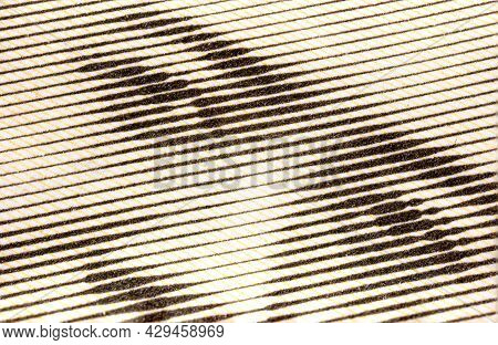 The Eyes Go The King Of Bhutan, Captured From A 100 Ngultrum Banknote. The Currency Of The Kingdom O
