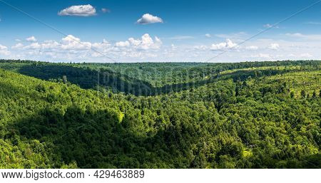 Overlooking The Allegheny National Forest In Mt Jewett, Pennsylvania, Usa On A Sunny Summer Day