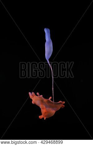 Blue And Orange Splash On Black Background To Layer, Composite And Blend With Your Own Product Image