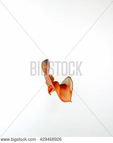 An Orange Splash On White Background To Layer, Composite And Blend With Your Own Product Images To A