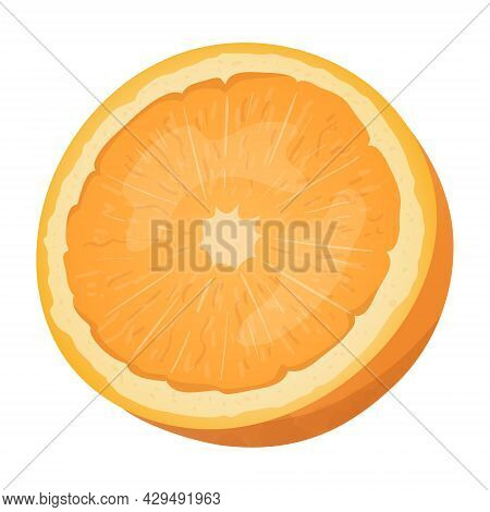 Vector Isolated Illustration Of Half An Orange With Zest, Twig And Leaf. A Healthy And Natural Citru