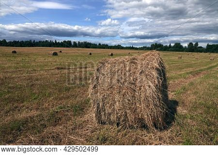 Rural Landscape With A Field With Many Rolled Haystacks With One Of It Close-up On Front And The For