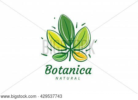 Logo With The Inscription Botanica And Painted Leaves