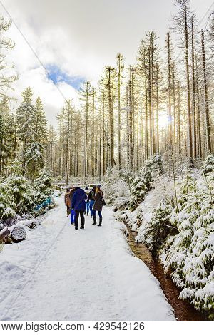 Hikers People In Snowed In Landscape Brocken Mountains Harz Germany.