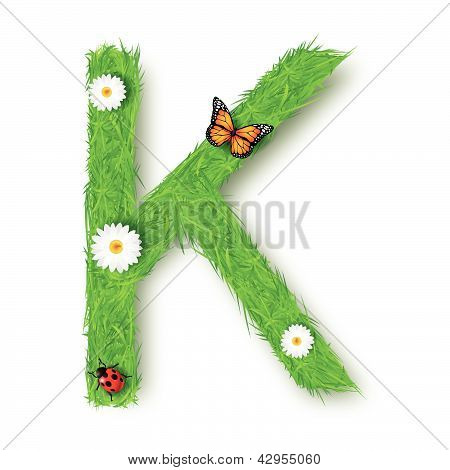 Herbe lettre K sur fond blanc