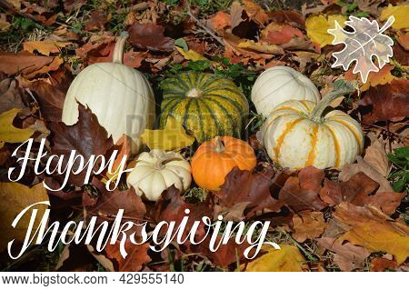 Happy Thanksgiving Hand Lettering With A Photo Background With Cute Pumpkins And Autumn Warm Color M