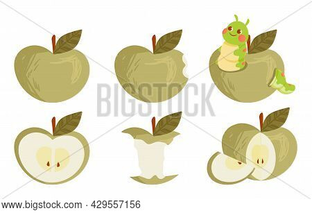 Set Of Green Ripe Apple Collections Whole And Bitten On White Background. Concept Of Different State