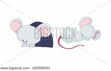 Cute Funny Mouse Characters Set. Lovely Little Mice Sitting In Hole And Sleeping Cartoon Vector Illu