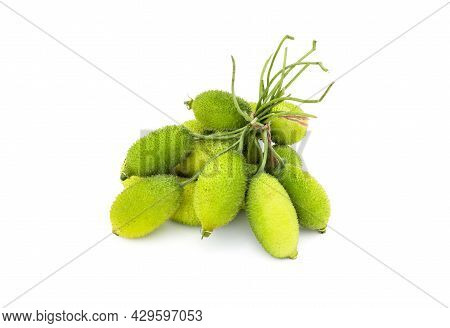 A Bunch Of Fresh Organic Green Spiny Gourd On White Background