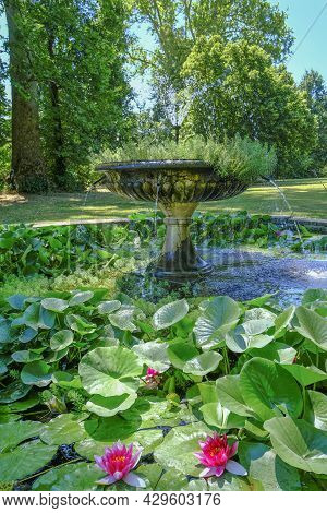 Fountain In The Park With Pond Covered With Water Lilies And Leaves Across Green Trees. Magnani Rocc