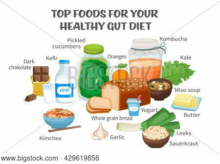Top Foods For Gut Health. Healthy Products Collection.