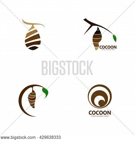 Cocoon Icon And Symbol Vector Template Illustration
