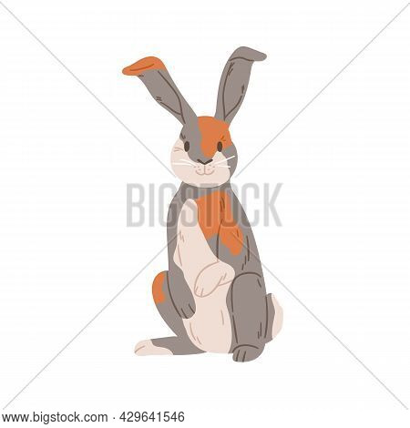 Cute Rabbit Of Harlequin Breed With Multicolor Spots On Fur. Spotty Bunny Standing. Portrait Of Happ