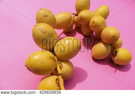 Fresh Yellow Dates, Tasty Juicy Crunchy Fruits With Stem , Plucked. Indian Kutchi Fruits From Gujara