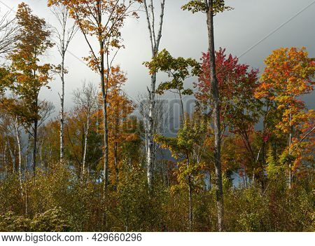 A Storm Approaches The Hiawatha National Forest In Autumn, Schoolcraft County, Michigan