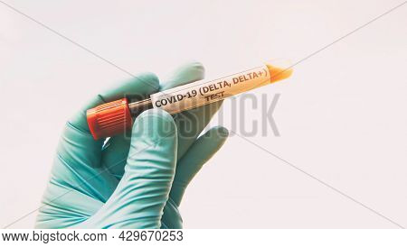 The nurce holding  tube of blood test with the label Covid-19 DELTA Variant.