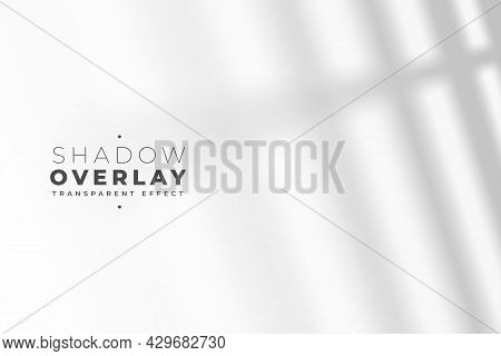 Transparent Shadow Effect Of Windowpane Design Vector Illustration