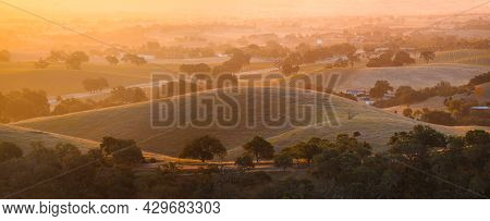 Sunrise On The Vine Covered Hills Of Wine Country